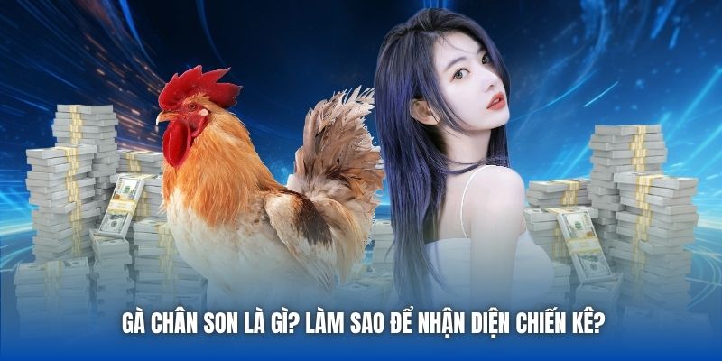Gà chân son là gì? Làm sao để nhận diện chiến kê?