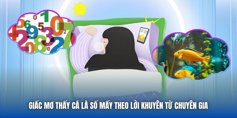 Giấc mơ thấy cá là số mấy theo lời khuyên từ chuyên gia