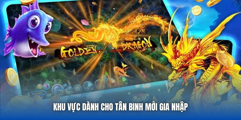 Khu vực dành cho tân binh mới gia nhập