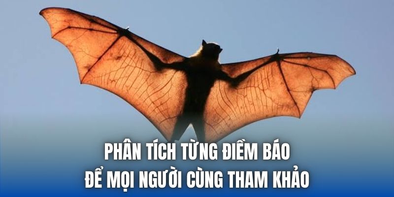 Phân tích từng điềm báo để mọi người cùng tham khảo