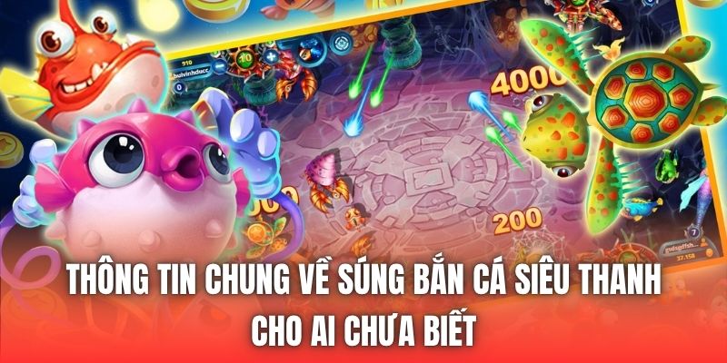Thông tin chung về súng bắn cá siêu thanh cho ai chưa biết