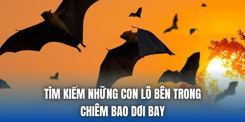 Tìm kiếm những con lô bên trong chiêm bao dơi bay